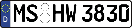 MS-HW3830