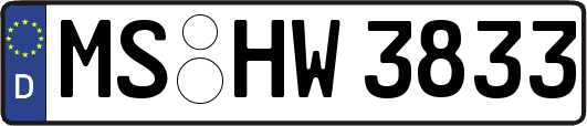 MS-HW3833