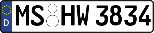 MS-HW3834