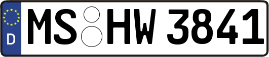 MS-HW3841