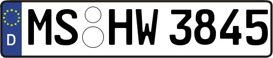MS-HW3845