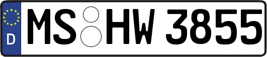 MS-HW3855