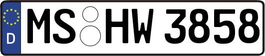 MS-HW3858