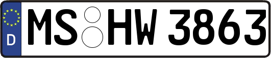 MS-HW3863