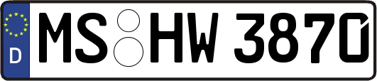 MS-HW3870