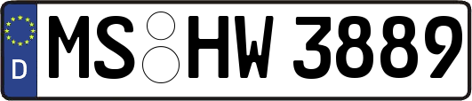 MS-HW3889