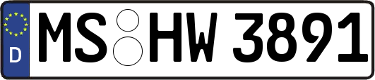 MS-HW3891