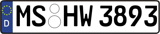 MS-HW3893