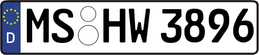 MS-HW3896