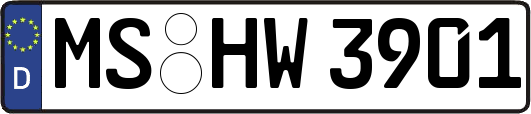 MS-HW3901