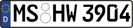 MS-HW3904