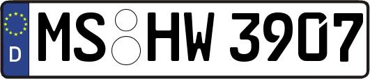 MS-HW3907