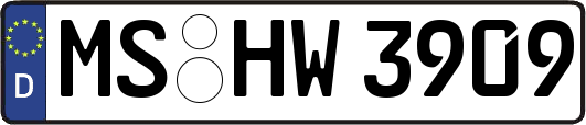 MS-HW3909