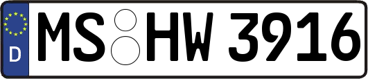MS-HW3916