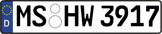 MS-HW3917