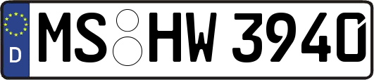 MS-HW3940