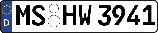MS-HW3941