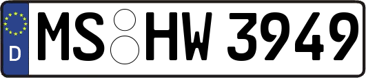 MS-HW3949