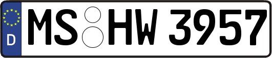 MS-HW3957