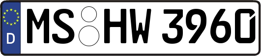 MS-HW3960