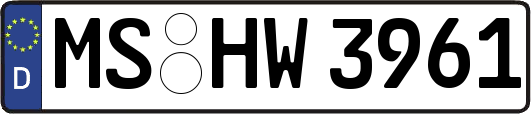 MS-HW3961