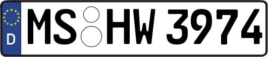 MS-HW3974