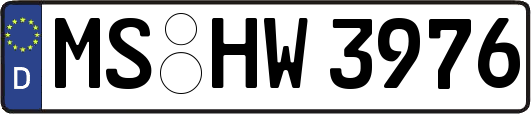 MS-HW3976