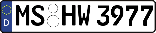 MS-HW3977