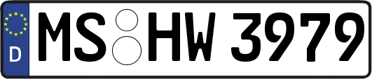 MS-HW3979