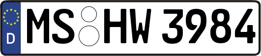 MS-HW3984