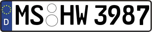 MS-HW3987