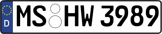 MS-HW3989