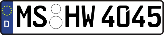 MS-HW4045