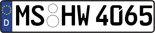 MS-HW4065