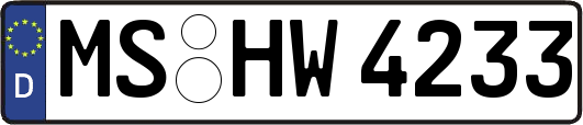 MS-HW4233