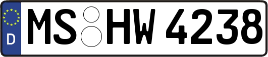 MS-HW4238