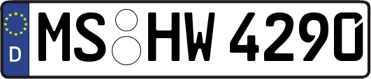 MS-HW4290