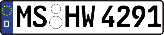 MS-HW4291