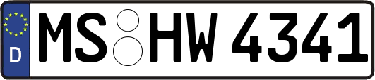 MS-HW4341