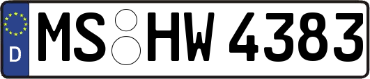 MS-HW4383