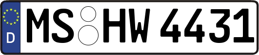 MS-HW4431