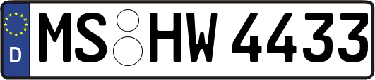 MS-HW4433