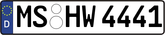 MS-HW4441