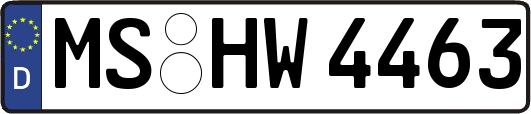 MS-HW4463