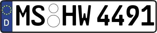 MS-HW4491