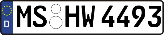 MS-HW4493