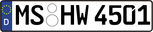 MS-HW4501