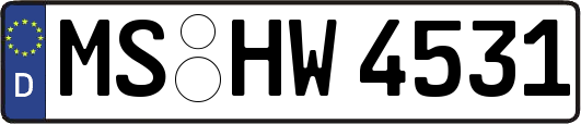 MS-HW4531