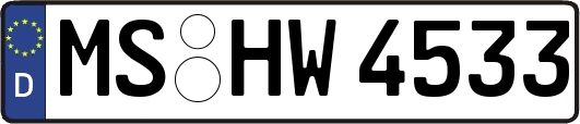 MS-HW4533