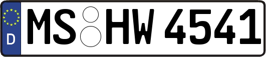 MS-HW4541